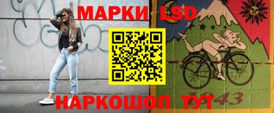 шишки Берёзовский
