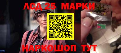 шишки Берёзовский