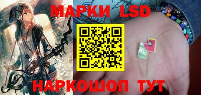 шишки Берёзовский