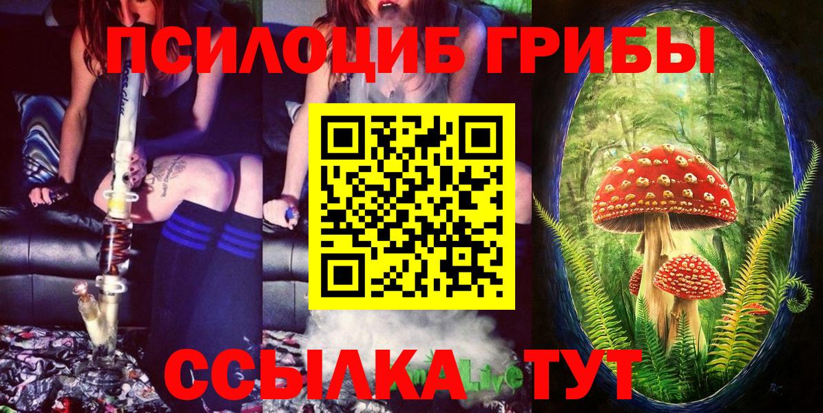 Керчь  закладки  Вход с VPN  Галлюциногенные грибы GOLDEN TEACHER 
