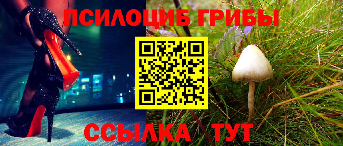 Галлюциногенные грибы мицелий Керчь